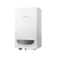 Котёл газовый настенный одноконтурный Navien DELUXE ONE-30K