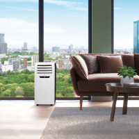 Мобильный кондиционер Electrolux EACM-09 FM/N3 Manhattan
