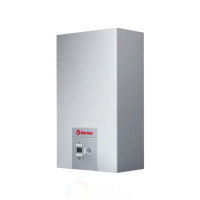 Настенный газовый котел Thermex EuroElite F24