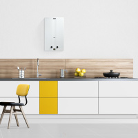 Газовая колонка Zanussi GWH 12 Fonte