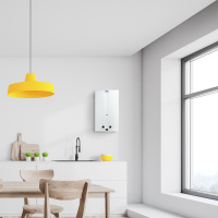 Газовая колонка Zanussi GWH 12 Fonte