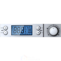 Настенный газовый котел Haier L1P20-F21S(T)