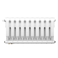 Радиатор Royal Thermo BiLiner 350 /Bianco Traffico VDR - 10 секц.