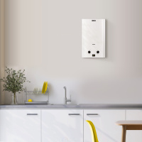 Газовая колонка Zanussi GWH 6 Fonte