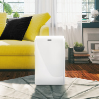 Мобильный кондиционер Zanussi ZACM-09 MSH/N1 Massimo Solar