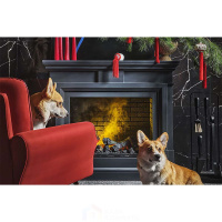 Каминокомплект Dimplex Coventry Gray - Серый с очагом Symphony 26'' DF2608-INT
