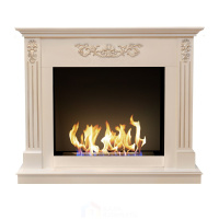 Биокамин классический со стемалитом Арканзас Zefire